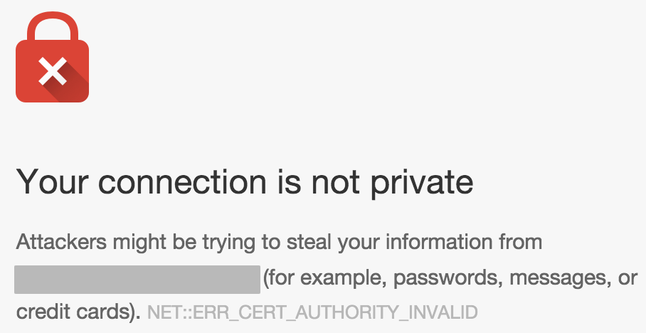 Screenshot of a Google Chrome Mixed Content warning