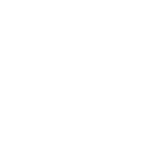 inventory icon